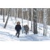 Ботинки sh500 warm дет.